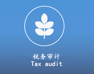 税务审计　
