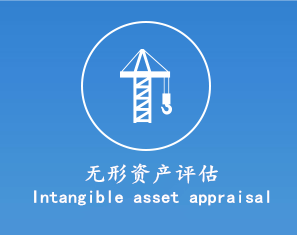 无形资产评估　